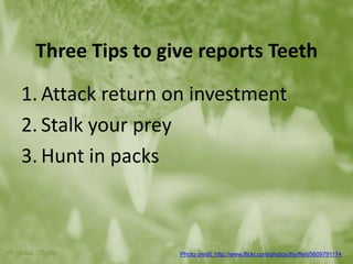 Toronto | June 12–14, 2013 | #SESTO | @SESConf
@gprzyklenk
Three Tips to give reports Teeth
1. Attack return on investment
2. Stalk your prey
3. Hunt in packs
Photo credit: http://www.flickr.com/photos/jfsyffert/5609791174
 