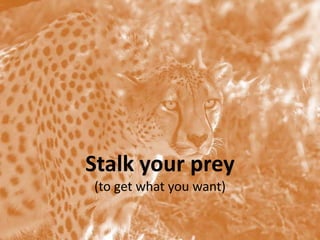 Toronto | June 12–14, 2013 | #SESTO | @SESConf
@gprzyklenk
Stalk your prey
(to get what you want)
 