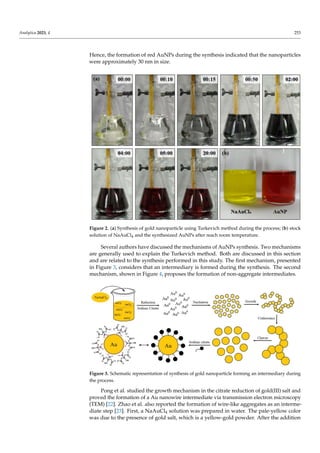 Analytica 2023, 4 253
Hence, the formation of red AuNPs during the synthesis indicated that the nanoparticles
were approximately 30 nm in size.
Analytica 2023, 4, FOR PEER REVIEW 4
because it is a defining parameter in the synthesis of AuNPs. Increasing the temperature
usually decreases the size of AuNPs. Hence, the chosen temperature was 90 °C, which
was kept constant during all syntheses [20].
Figure 2. (a) Synthesis of gold nanoparticle using Turkevich method during the process; (b) stock
solution of NaAuCl4 and the synthesized AuNPs after reach room temperature.
A color change was clearly observed when comparing the stock solutions of
NaAuCl4 and the synthesized AuNPs, as shown in Figure 2b. For spherical particles of
approximately 30 nm, the AuNPs absorbed light in the blue-green portion of the spec-
trum, reflecting red light. This results in a AuNPs red suspension, which is characteristic
of stable AuNPs suspensions of gold nanoparticles. However, as the particle size in-
creased, absorption shifted to higher wavelengths. Red light is absorbed, and blue/purple
light is reflected [21]. Hence, the formation of red AuNPs during the synthesis indicated
that the nanoparticles were approximately 30 nm in size.
Several authors have discussed the mechanisms of AuNPs synthesis. Two mecha-
nisms are generally used to explain the Turkevich method. Both are discussed in this
section and are related to the synthesis performed in this study. The first mechanism,
presented in Figure 3, considers that an intermediary is formed during the synthesis. The
second mechanism, shown in Figure 4, proposes the formation of non-aggregate inter-
mediates.
Figure 2. (a) Synthesis of gold nanoparticle using Turkevich method during the process; (b) stock
solution of NaAuCl4 and the synthesized AuNPs after reach room temperature.
Several authors have discussed the mechanisms of AuNPs synthesis. Two mechanisms
are generally used to explain the Turkevich method. Both are discussed in this section
and are related to the synthesis performed in this study. The first mechanism, presented
in Figure 3, considers that an intermediary is formed during the synthesis. The second
mechanism, shown in Figure 4, proposes the formation of non-aggregate intermediates.
Analytica 2023, 4, FOR PEER REVIEW 5
Figure 3. Schematic representation of synthesis of gold nanoparticle forming an intermediary
during the process.
Figure 4. Scheme of AuNPs synthesis without formation of an intermediary during the process.
Figure 3. Schematic representation of synthesis of gold nanoparticle forming an intermediary during
the process.
Pong et al. studied the growth mechanism in the citrate reduction of gold(III) salt and
proved the formation of a Au nanowire intermediate via transmission electron microscopy
(TEM) [22]. Zhao et al. also reported the formation of wire-like aggregates as an interme-
diate step [23]. First, a NaAuCl4 solution was prepared in water. The pale-yellow color
was due to the presence of gold salt, which is a yellow-gold powder. After the addition
 