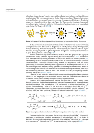 Analytica 2023, 4 254
of sodium citrate, the Au3+ species was rapidly reduced to metallic Au (Au0) and formed
small clusters. This process was observed during the colorless phase. The nanoclusters then
coalesced to form a network of nanowires, turning the suspension bluish-gray. This initial
stage was extremely rapid, as shown in Figure 2a. Therefore, the blue/purple color ob-
served during the synthesis is related to the formation of gold nanowires as an intermediate
step during AuNPs growth [23–25].
Figure 3. Schematic representation of synthesis of gold nanoparticle forming an intermediary
during the process.
Figure 4. Scheme of AuNPs synthesis without formation of an intermediary during the process.
Pong et al. studied the growth mechanism in the citrate reduction of gold(III) salt
and proved the formation of a Au nanowire intermediate via transmission electron mi-
croscopy (TEM) [22]. Zhao et al. also reported the formation of wire-like aggregates as an
intermediate step [23]. First, a NaAuCl4 solution was prepared in water. The pale-yellow
color was due to the presence of gold salt, which is a yellow-gold powder. After the ad-
dition of sodium citrate, the Au3+ species was rapidly reduced to metallic Au (Au0) and
formed small clusters. This process was observed during the colorless phase. The
nanoclusters then coalesced to form a network of nanowires, turning the suspension
bluish-gray. This initial stage was extremely rapid, as shown in Figure 2a. Therefore, the
blue/purple color observed during the synthesis is related to the formation of gold
nanowires as an intermediate step during AuNPs growth [23–25].
As the suspensions became darker, the diameter of the nanowires increased linearly,
owing to coalescence. This refers to the process in which particles merge during contact,
thereby decreasing the number of particles. Simultaneously, the extensive network begins
to cleave, leaving fragments of spherical particles. This process is clearly observed be-
cause it gives the suspension a red color [23–25].
Another mechanism explains the Turkevich method. Polte et al. proposed that ag-
gregate intermediates are not formed at any time during the Turkevich synthesis [22,26].
Wuithschick et al. refined this theory and explained the bluish color in the middle of their
synthesis [27]. The first step involved the rapid reduction of NaAuCl4 by sodium citrate
and the formation of small clusters. These steps occurred during the first 10 s of synthe-
sis. Then, the cluster grew owing to coalescence, forming citrate-capped AuNPs. Ac-
cording to Wuithschick et al., the blue/purple color observed during synthesis is caused
by the adsorption of NaAuCl4 on the nanoparticle surface, which influences the surface
chemistry or dielectric constant of the surrounding medium. Therefore, after a few
minutes, NaAuCl4 is completely reduced, resulting in ruby red [12,18,22,26–28].
Therefore, in this study, we consider both the mechanisms proposed for the synthe-
sis of AuNPs and the perspectives of different authors. This was chosen because there is
no consensus among researchers regarding the underlying mechanisms.
Figure 4. Scheme of AuNPs synthesis without formation of an intermediary during the process.
As the suspensions became darker, the diameter of the nanowires increased linearly,
owing to coalescence. This refers to the process in which particles merge during contact,
thereby decreasing the number of particles. Simultaneously, the extensive network begins
to cleave, leaving fragments of spherical particles. This process is clearly observed because
it gives the suspension a red color [23–25].
Another mechanism explains the Turkevich method. Polte et al. proposed that aggregate
intermediates are not formed at any time during the Turkevich synthesis [22,26]. Wuithschick
et al. refined this theory and explained the bluish color in the middle of their synthesis [27].
The first step involved the rapid reduction of NaAuCl4 by sodium citrate and the formation
of small clusters. These steps occurred during the first 10 s of synthesis. Then, the cluster
grew owing to coalescence, forming citrate-capped AuNPs. According to Wuithschick et al.,
the blue/purple color observed during synthesis is caused by the adsorption of NaAuCl4
on the nanoparticle surface, which influences the surface chemistry or dielectric constant of
the surrounding medium. Therefore, after a few minutes, NaAuCl4 is completely reduced,
resulting in ruby red [12,18,22,26–28].
Therefore, in this study, we consider both the mechanisms proposed for the synthesis
of AuNPs and the perspectives of different authors. This was chosen because there is no
consensus among researchers regarding the underlying mechanisms.
However, both these mechanisms involve the reduction of AuCl4
− using citrate.
Figure 5 illustrates the proposed mechanism involved in this reduction. This mechanism
involved two steps. First, trivalent gold (Au3+) is reduced to monovalent gold (Au+) by
citrate. Simultaneously, citrate (Cit3+) is oxidized to acetone dicarboxylate (ACDC2−).
The second step involves a disproportionation reaction in which metallic gold (Au0) and
trivalent gold (Au3+) are produced. The overall reaction is shown in Figure 5 [29–32].
Analytica 2023, 4, FOR PEER REVIEW 6
However, both these mechanisms involve the reduction of AuCl4− using citrate.
Figure 5 illustrates the proposed mechanism involved in this reduction. This mechanism
involved two steps. First, trivalent gold (Au3+) is reduced to monovalent gold (Au+) by
citrate. Simultaneously, citrate (Cit3+) is oxidized to acetone dicarboxylate (ACDC2−). The
second step involves a disproportionation reaction in which metallic gold (Au0) and tri-
valent gold (Au3+) are produced. The overall reaction is shown in Figure 5 [29–32].
Figure 5. Accepted reduction mechanism of AuCl4
 using citrate in two step redox reaction.
Previous studies have suggested that acetone dicarboxylate (ACDC2-) is rapidly de-
graded to acetone at a synthesis temperature of approximately 100 °C, as shown in Figure
6. The degradation products reduce trivalent gold (Au3+) and lead to a complete conver-
sion to Au0. Therefore, ACDC2- acts as an auxiliary reducing agent [29,31].
Figure 5. Accepted reduction mechanism of AuCl4
− using citrate in two step redox reaction.
Previous studies have suggested that acetone dicarboxylate (ACDC2−) is rapidly
degraded to acetone at a synthesis temperature of approximately 100 ◦C, as shown in
Figure 6. The degradation products reduce trivalent gold (Au3+) and lead to a complete
conversion to Au0. Therefore, ACDC2− acts as an auxiliary reducing agent [29,31].
 