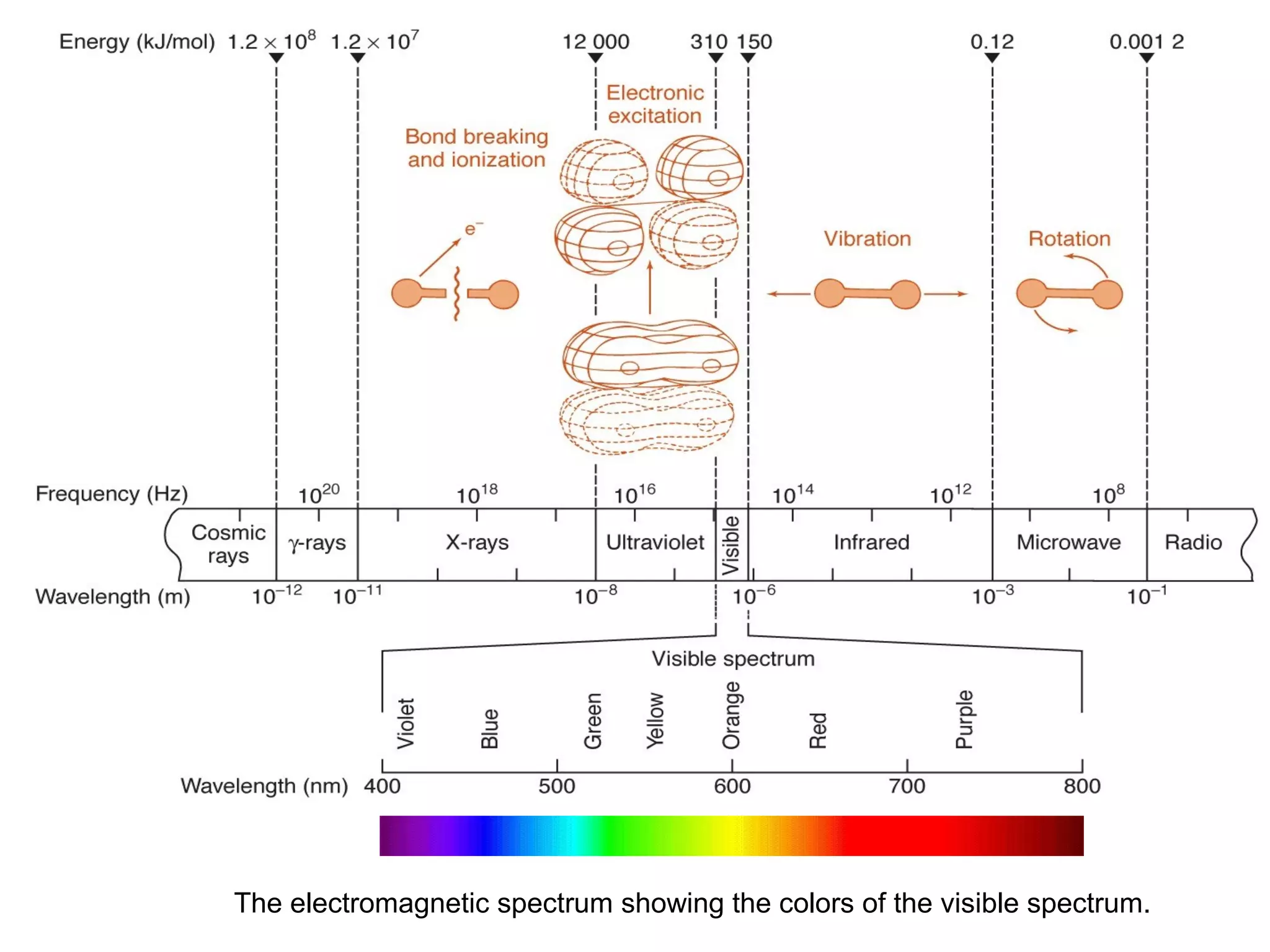 The electromagnetic spectrum showing the colors of the visible spectrum.

 