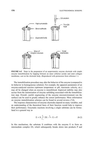 The immobilization procedure may alter the behavior of the enzyme (compared to
its behavior in homogeneous solution). For example, the apparent parameters of an
enzyme-catalyzed reaction (optimum temperature or pH, maximum velocity, etc.)
may all be changed when an enzyme is immobilized. Improved stability may also
accrue from the minimization of enzyme unfolding associated with the immobiliza-
tion step. Overall, careful engineering of the enzyme microenvironment (on the
surface) can be used to greatly enhance the sensor performance. More information
on enzyme immobilization schemes can be found in several reviews (7,8).
The response characteristics of enzyme electrodes depend on many variables, and
an understanding of the theoretical basis of their function would help to improve
their performance. Enzymatic reactions involving a single substrate can be formu-
lated in a general way as
E ‡ S „
k1
kÀ1
ES À3
k2
E ‡ P …6-2†
In this mechanism, the substrate S combines with the enzyme E to form an
intermediate complex ES, which subsequently breaks down into products P and
FIGURE 6-2 Steps in the preparation of an amperometric enzyme electrode with simple
enzyme immobilization by trapping between an inner cellulose acetate and outer collagen
membrane, cast on the electrode body. (Reproduced with permission from reference 1.)
174 ELECTROCHEMICAL SENSORS
 