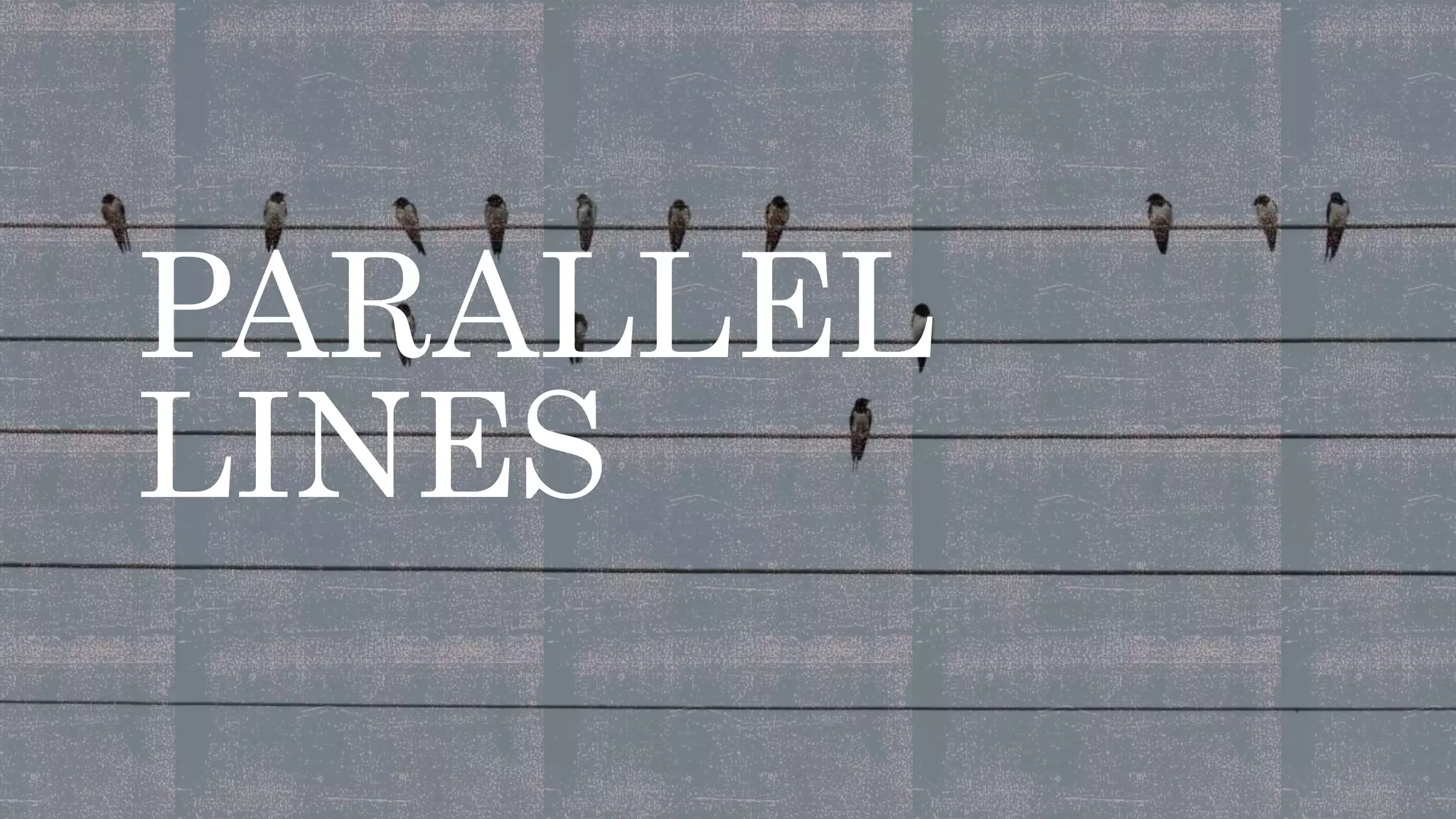 PARALLEL
LINES
 