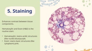 Routine Staining Introduction to Histotechnique and Tissue Staining.pptx