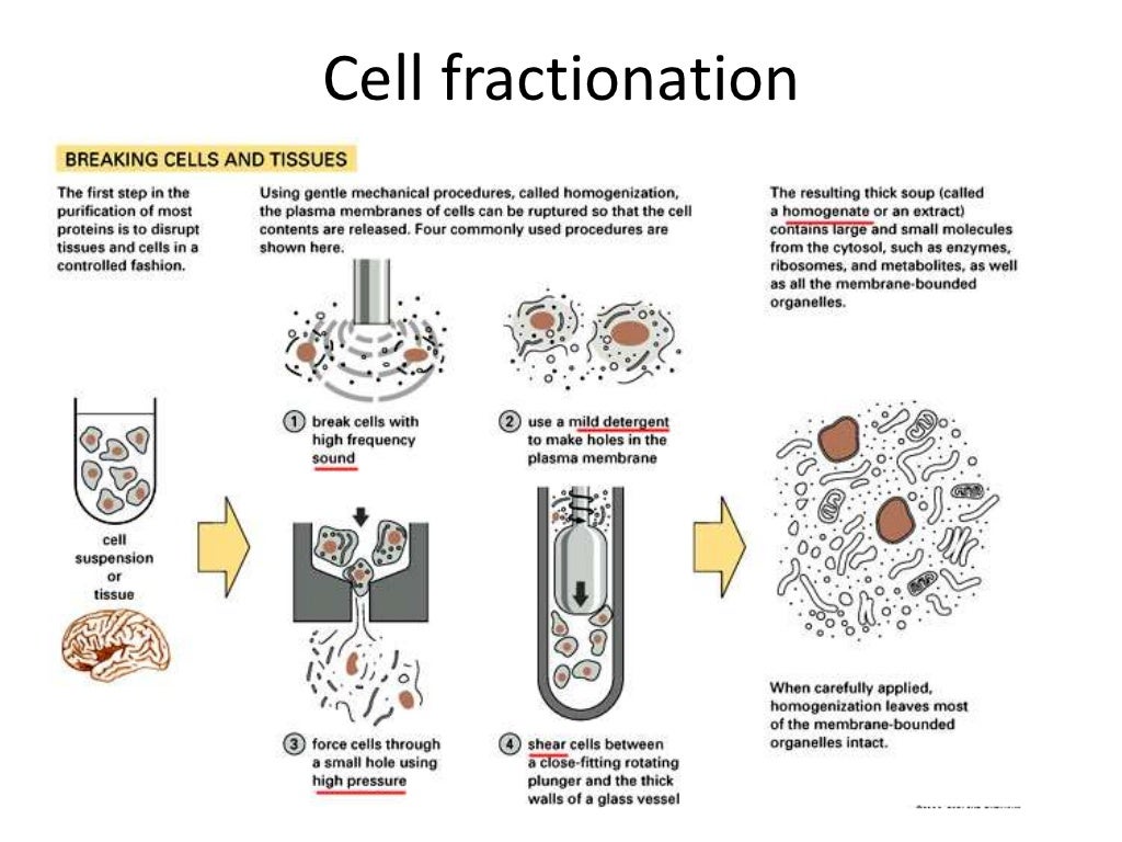 Stpm chemistry sem 1 image
