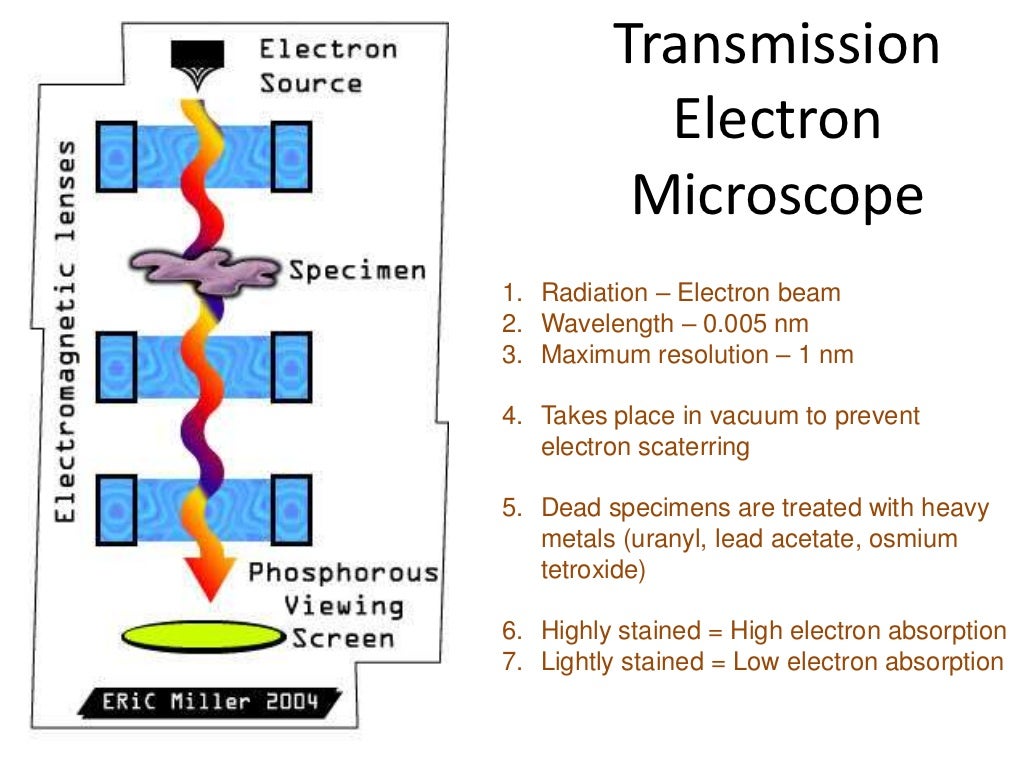 Stpm chemistry assignment image