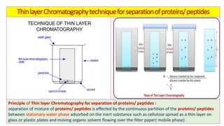 Analytical techniques for separation or purification of proteins | PDF