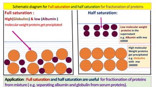 Analytical techniques for separation or purification of proteins | PDF