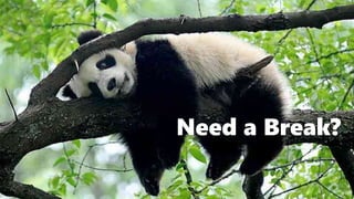 Need a Break?
 
