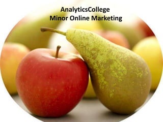 AnalyticsCollege
Minor Online Marketing
 
