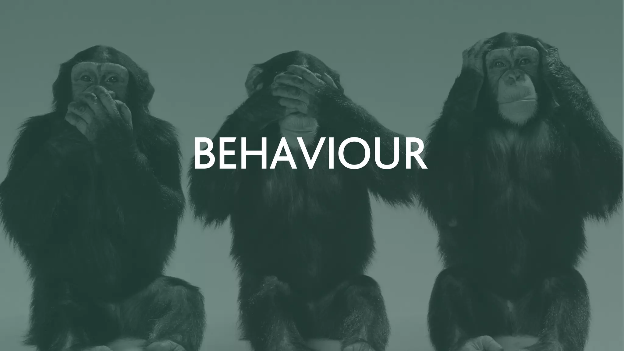 BEHAVIOUR
 