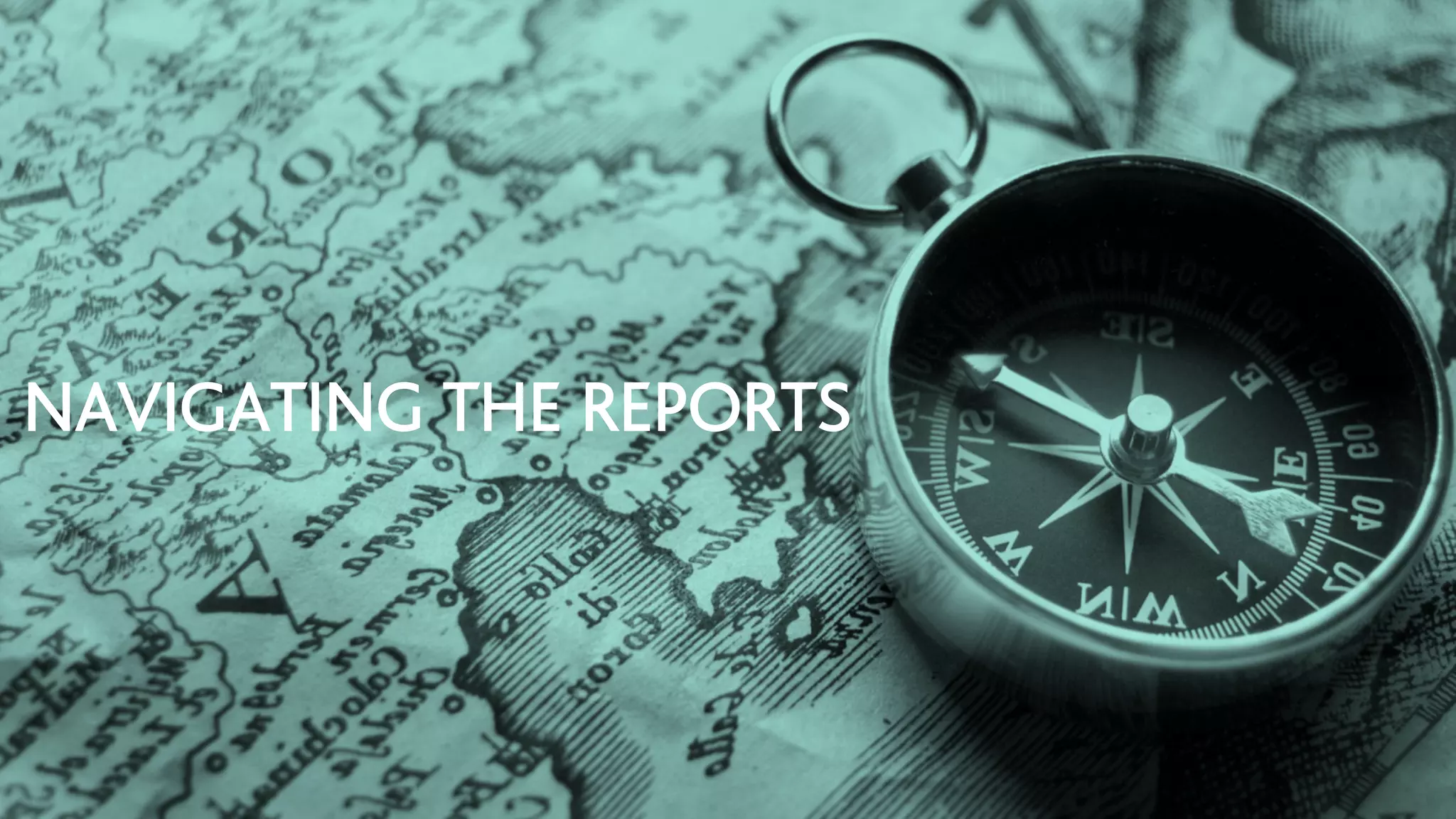 NAVIGATING THE REPORTS
 