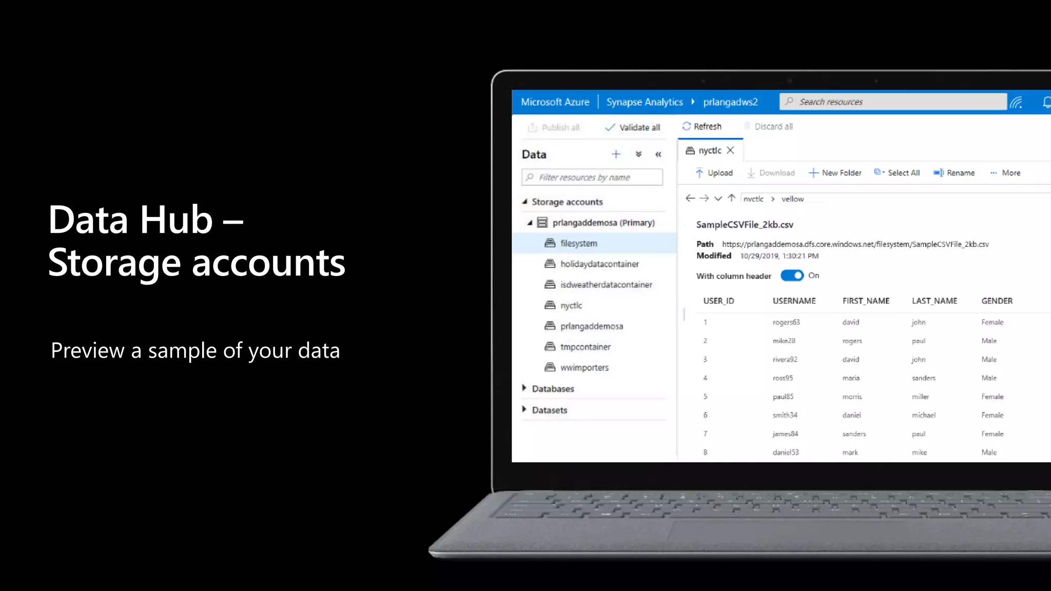 Preview a sample of your data
Data Hub –
Storage accounts
 