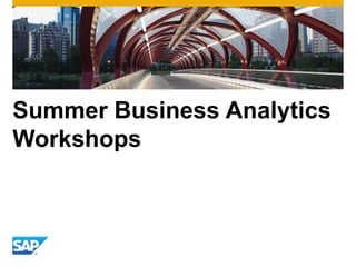 Summer Business Analytics
Workshops
 
