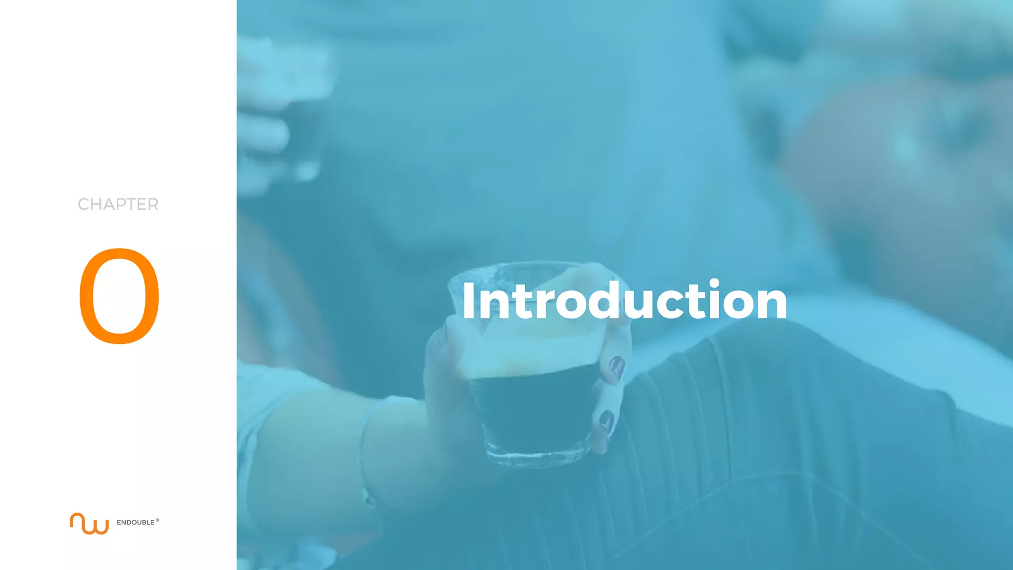 CHAPTER
0 Introduction
 
