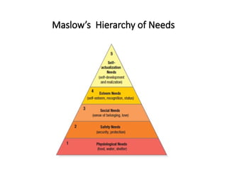 Maslow’s Hierarchy of Needs
 