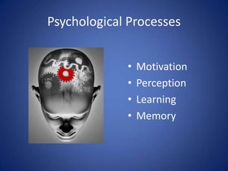 Professional GroupsInfluencePersonal factorsPersonality & Self Concept