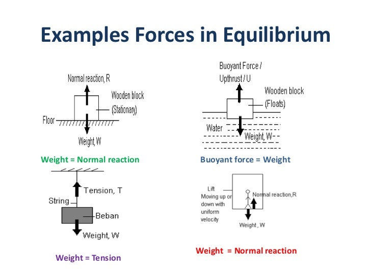 Analyzing forces in equilibrium