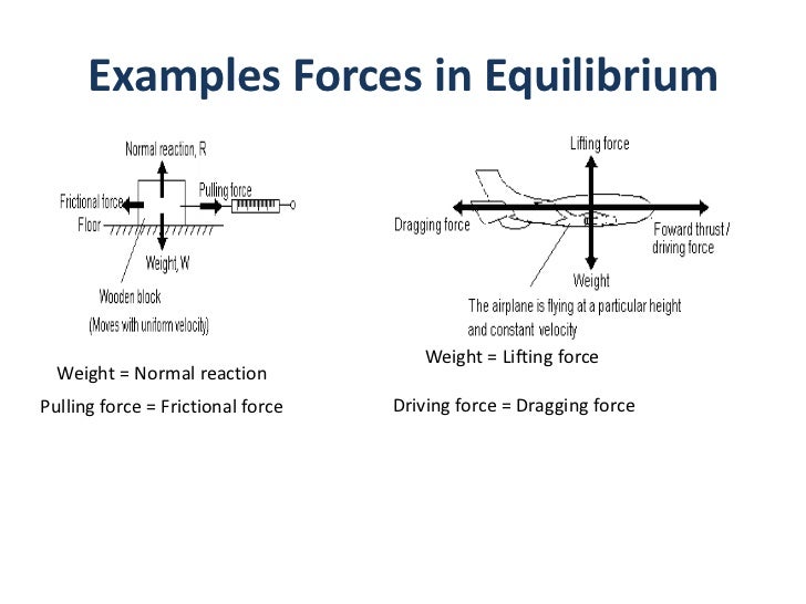 Analyzing forces in equilibrium