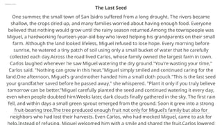 INDIVIDUAL ACTIVITY
The Last Seed
One summer, the small town of San Isidro suffered from a long drought. The rivers became
shallow, the crops dried up, and many families worried about having enough food. Everyone
believed that nothing would grow until the rainy season returned.Among the townspeople was
Miguel, a hardworking fourteen-year-old boy who loved helping his grandparents on their small
farm. Although the land looked lifeless, Miguel refused to lose hope. Every morning before
sunrise, he watered a tiny patch of soil using only a small bucket of water that he carefully
collected each day.Across the road lived Carlos, whose family owned the largest farm in town.
Carlos laughed whenever he saw Miguel watering the dry ground."You're wasting your time,"
Carlos said. "Nothing can grow in this heat."Miguel simply smiled and continued caring for the
land.One afternoon, Miguel's grandmother handed him a small cloth pouch."This is the last seed
your grandfather saved before he passed away," she whispered. "Plant it only if you truly believe
tomorrow can be better."Miguel carefully planted the seed and continued watering it every day,
even when people doubted him.Weeks later, dark clouds finally gathered in the sky. The first rain
fell, and within days a small green sprout emerged from the ground. Soon it grew into a strong
fruit-bearing tree.The tree produced enough fruit not only for Miguel's family but also for
neighbors who had lost their harvests. Even Carlos, who had mocked Miguel, came to ask for
 