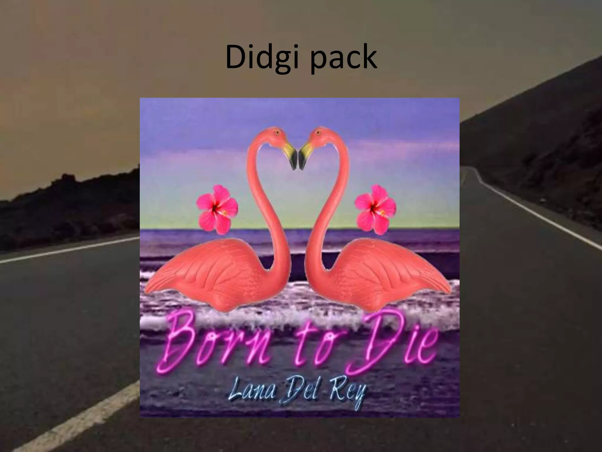 Didgi pack
 