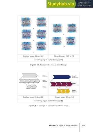 123
Section 4.2 Types of Image Similarity
Original image: [30, p. 160] Reused image: [567, p. 73]
VroniPlag report on the finding: [537]
Figure 4.3. Example of a weakly altered image.
Original image: [163, p. 23] Reused image: [45, p. 14]
VroniPlag report on the finding: [520]
Figure 4.4. Example of a moderately altered image.
 