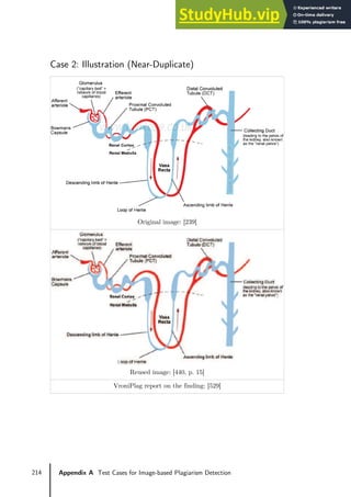 214 Appendix A Test Cases for Image-based Plagiarism Detection
Case 2: Illustration (Near-Duplicate)
Original image: [239]
Reused image: [440, p. 15]
VroniPlag report on the finding: [529]
 