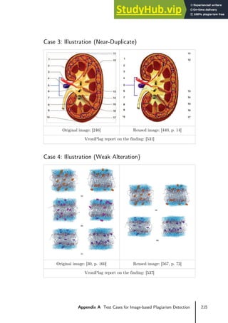 215
Appendix A Test Cases for Image-based Plagiarism Detection
Case 3: Illustration (Near-Duplicate)
Original image: [246] Reused image: [440, p. 14]
VroniPlag report on the finding: [531]
Case 4: Illustration (Weak Alteration)
Original image: [30, p. 160] Reused image: [567, p. 73]
VroniPlag report on the finding: [537]
 