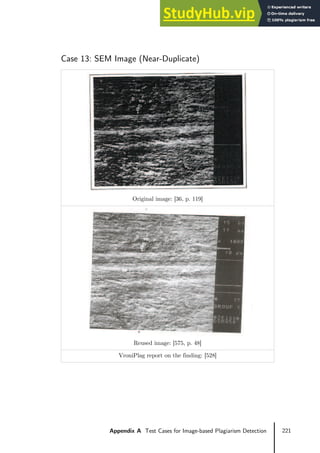221
Appendix A Test Cases for Image-based Plagiarism Detection
Case 13: SEM Image (Near-Duplicate)
Original image: [36, p. 119]
Reused image: [575, p. 48]
VroniPlag report on the finding: [528]
 