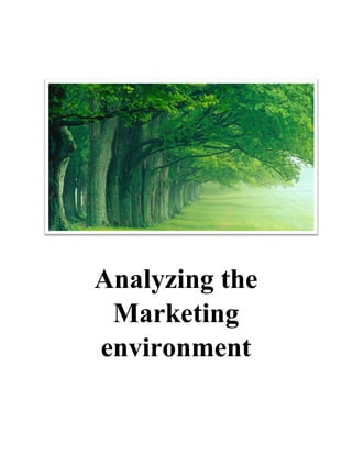 Analyzing the
Marketing
environment
 
