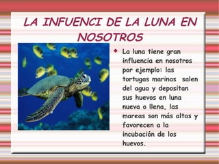 LA INFUENCI DE LA LUNA EN NOSOTROS La luna tiene gran influencia en nosotros por ejemplo: las tortugas marinas  salen del agua y depositan  sus huevos en luna nueva o llena, las mareas son más altas y favorecen a la incubación de los huevos. 