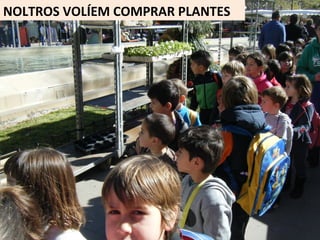 NOLTROS VOLÍEM COMPRAR PLANTES
 