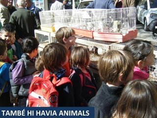 TAMBÉ HI HAVIA ANIMALS
 