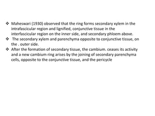  Maheswari (1930) observed that the ring forms secondary xylem in the
intrafascicular region and lignified, conjunctive tissue in the
interfascicular region on the inner side, and secondary phloem above.
 The secondary xylem and parenchyma opposite to conjunctive tissue, on
the . outer side.
 After the formation of secondary tissue, the cambium. ceases its activity
and a new cambium ring arises by the joining of secondary parenchyma
cells, opposite to the conjunctive tissue, and the pericycle
 