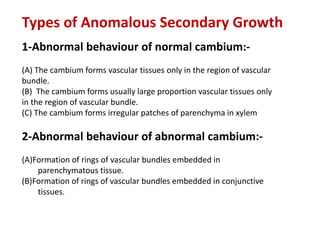 Types of Anomalous Secondary Growth
1-Abnormal behaviour of normal cambium:-
(A) The cambium forms vascular tissues only in the region of vascular
bundle.
(B) The cambium forms usually large proportion vascular tissues only
in the region of vascular bundle.
(C) The cambium forms irregular patches of parenchyma in xylem
2-Abnormal behaviour of abnormal cambium:-
(A)Formation of rings of vascular bundles embedded in
parenchymatous tissue.
(B)Formation of rings of vascular bundles embedded in conjunctive
tissues.
 