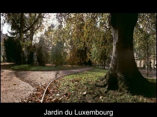 Jardin du Luxembourg