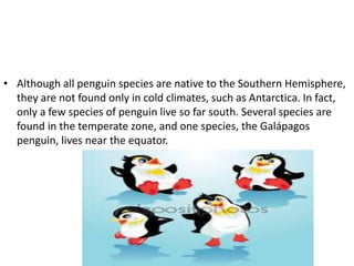 • Although all penguin species are native to the Southern Hemisphere,
they are not found only in cold climates, such as Antarctica. In fact,
only a few species of penguin live so far south. Several species are
found in the temperate zone, and one species, the Galápagos
penguin, lives near the equator.
 