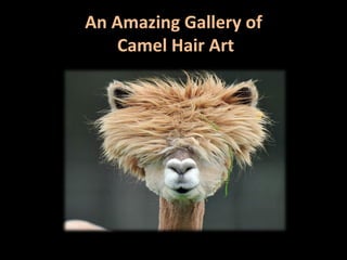 An Amazing Gallery of
    Camel Hair Art
 