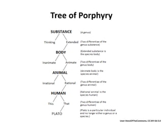 Tree of Porphyry
User:VoiceOfTheCommons, CC-BY-SA 3.0
 