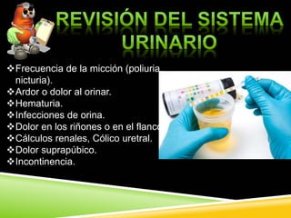 Frecuencia de la micción (poliuria,
nicturia).
Ardor o dolor al orinar.
Hematuria.
Infecciones de orina.
Dolor en los riñones o en el flanco.
Cálculos renales, Cólico uretral.
Dolor suprapúbico.
Incontinencia.
 