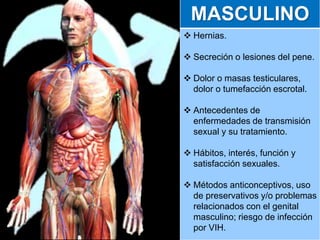 MASCULINO
 Hernias.
 Secreción o lesiones del pene.
 Dolor o masas testiculares,
dolor o tumefacción escrotal.
 Antecedentes de
enfermedades de transmisión
sexual y su tratamiento.
 Hábitos, interés, función y
satisfacción sexuales.
 Métodos anticonceptivos, uso
de preservativos y/o problemas
relacionados con el genital
masculino; riesgo de infección
por VIH.
 