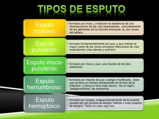 • formado por moco, y traducen la existencia de una
hipersecreción de las vías respiratorias, concretamente
de las glándulas de la mucosa bronquial, ej. por causa
del tabaco.
Esputo
mucoso:
• formado fundamentalmente por pus, y que indican la
mayor parte de las veces procesos infecciosos de vías
respiratorias (vías aéreas y pulmón).
Esputo
purulento:
• formado por moco y pus; una mezcla de los dos
anteriores.
Esputo muco-
purulento:
• formado por mezcla de pus y sangre modificada, ósea
que ya lleva un tiempo almacenada en el foco de la
infección, y tiene un tono más oscuro. Es un signo
“patognomónico” de neumonía.
Esputo
herrumbroso:
• formado por sangre, independientemente de la cuantía
(puede ser con puntos de sangre, hebras o toda cubierta
de sangre). Tiene un color rojo vivo.
Esputo
hemoptoico:
 