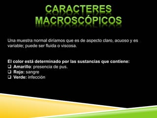 Una muestra normal diríamos que es de aspecto claro, acuoso y es
variable; puede ser fluida o viscosa.
El color está determinado por las sustancias que contiene:
 Amarillo: presencia de pus.
 Rojo: sangre
 Verde: infección
 