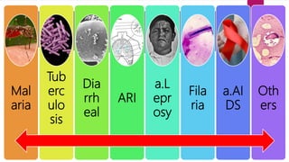 Mal
aria
Tub
erc
ulo
sis
Dia
rrh
eal
ARI
a.L
epr
osy
Fila
ria
a.AI
DS
Oth
ers
 