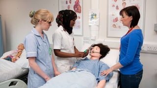 History of development of Nursing Professions | PPTX