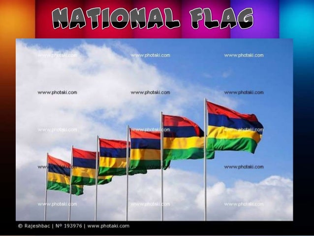 Frankfinn anamika travel assignment 06 image