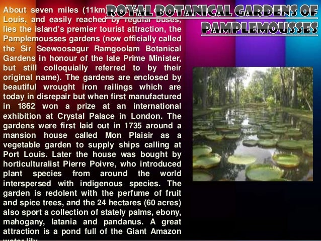 Frankfinn anamika travel assignment 04 image