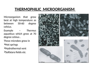 THERMOPHILIC MICROORGANISM
Microorganism that grow
best at high temperature as
between 50-60 degree
celsius.
Example – Thermus
aquaticus which grow at 70
degree celsius .
These microbes grow in

Hot springs

Hydrothermal vent

Solfatara fields etc.
 