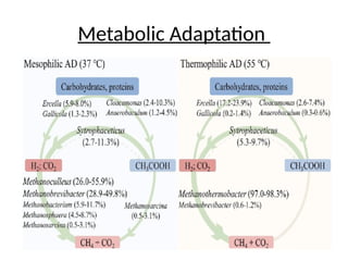 Metabolic Adaptation
 