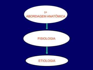 1o
ABORDAGEM ANATÔMICA
FISIOLOGIA
ETIOLOGIA
 